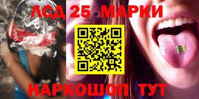 крисы Будённовск