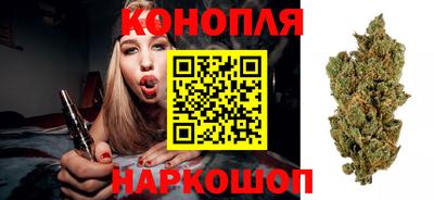 гидра Бузулук