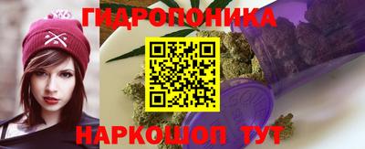 крисы Будённовск