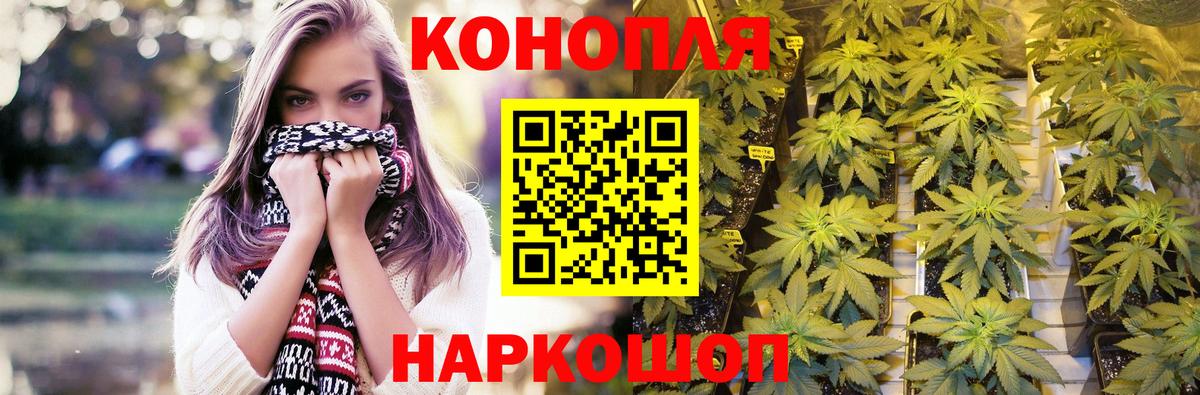 Бошки Шишки SATIVA & INDICA  Шишки марихуана план  Вход с VPN  Красноярск  Марихуана MAZAR 